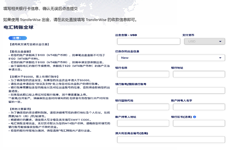 TMGM国际电汇入金流程